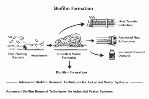 Diagram showing biofilm formation and operational impact in industrial water systems for biofilm removal strategies