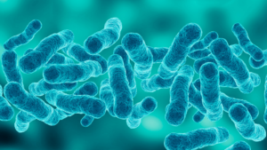 Microscopic image of Legionella bacteria related to legionella water treatment strategies