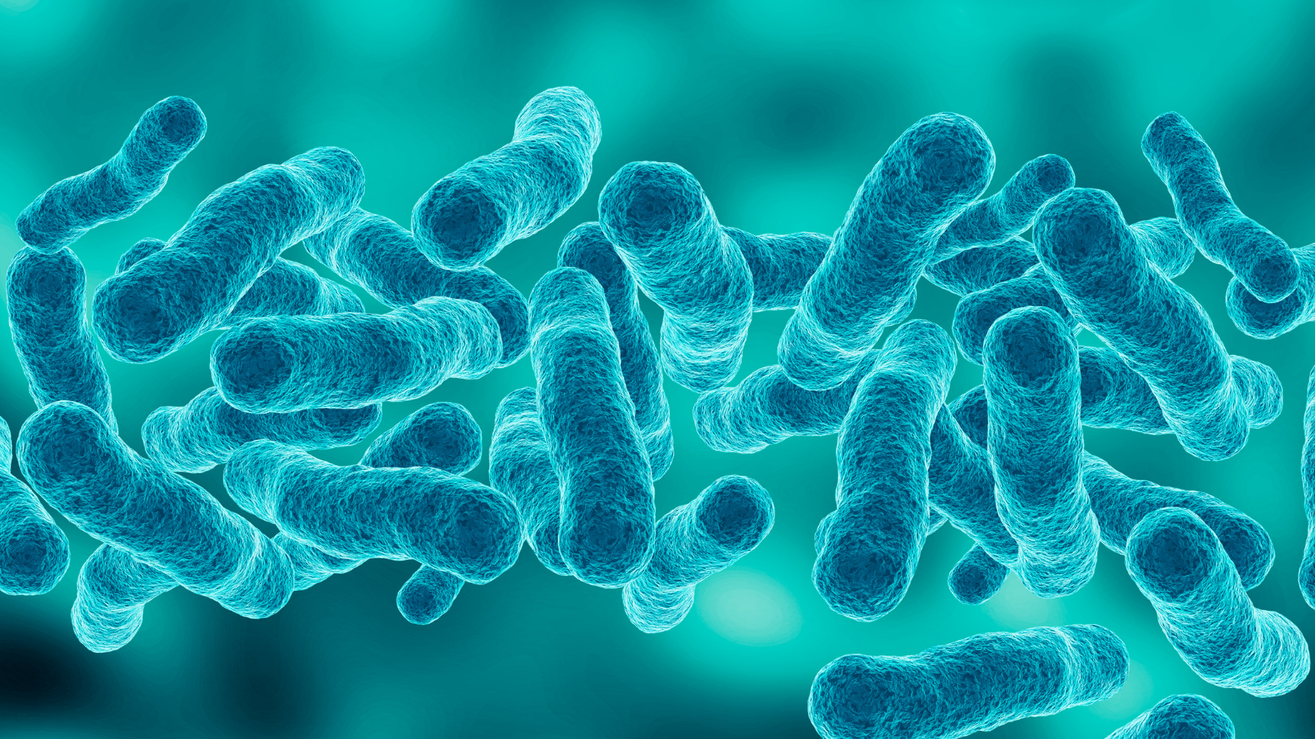 Microscopic image of Legionella bacteria related to legionella water treatment strategies